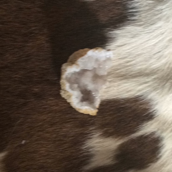 Geo - Picture 3 of 3